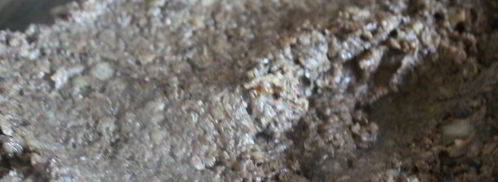 паштет из лесных грибов с гречневыми хлопьями. Шаг 6