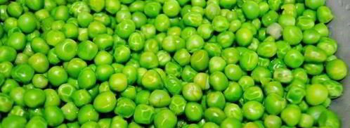 паштет из зеленого горошка. Шаг 3