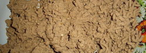 паштет на завтрак. Шаг 5