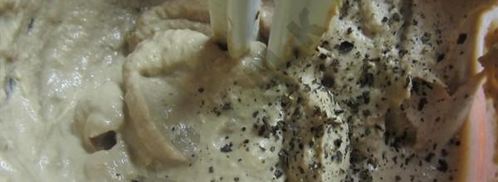 запеченный паштет из утиной печени. Шаг 3