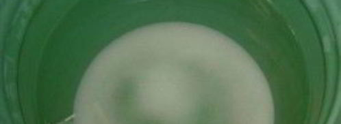 помидоры с горчицей холодным способом. Шаг 3