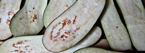 роллы из баклажанов со спагетти. Шаг 2