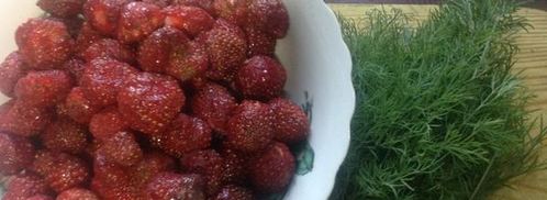 роллы из телятины с клубничным соусом. Шаг 3