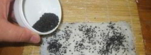 вегетарианские роллы. Шаг 8