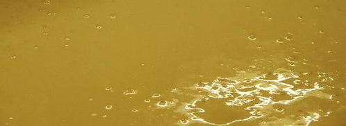 бисквитный рулет с клубникой праздничный. Шаг 6