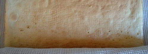 бисквитный рулет с яблочным парфе. Шаг 14