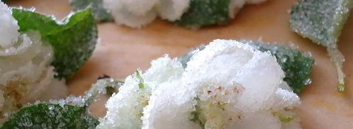 бисквитный рулет с яблочным парфе. Шаг 27