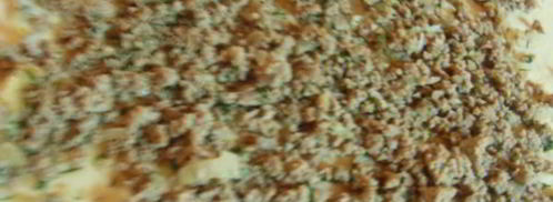 картофельный рулет с фаршем. Шаг 5