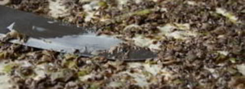 рулет из лаваша с грибами. Шаг 4