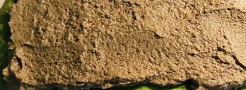 рулет с сыром и грибами. Шаг 4