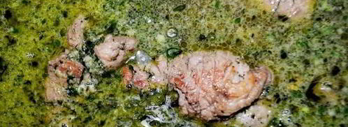 рулеты из говядины прованские огурчики. Шаг 12