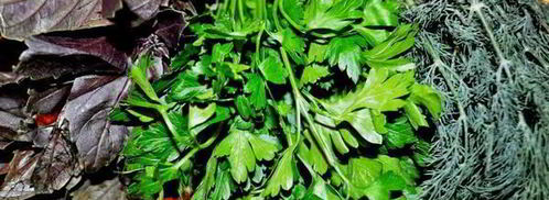 рулеты из говядины прованские огурчики. Шаг 3