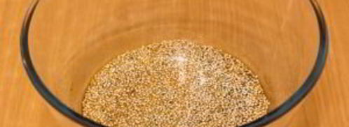 свинина, маринованная в соевом соусе и зеленом луке. Шаг 2