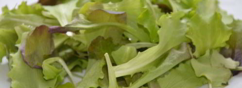 сэндвич с яйцом-пашот и салатом. Шаг 12