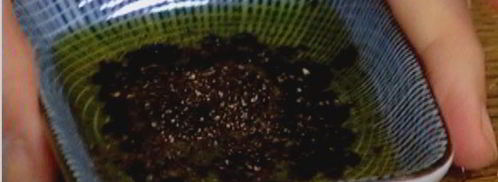 тарталетки с красным луком и сырным соусом. Шаг 11