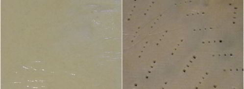 абрикосовый тарт с франжипаном и миндальным крокантом. Шаг 6