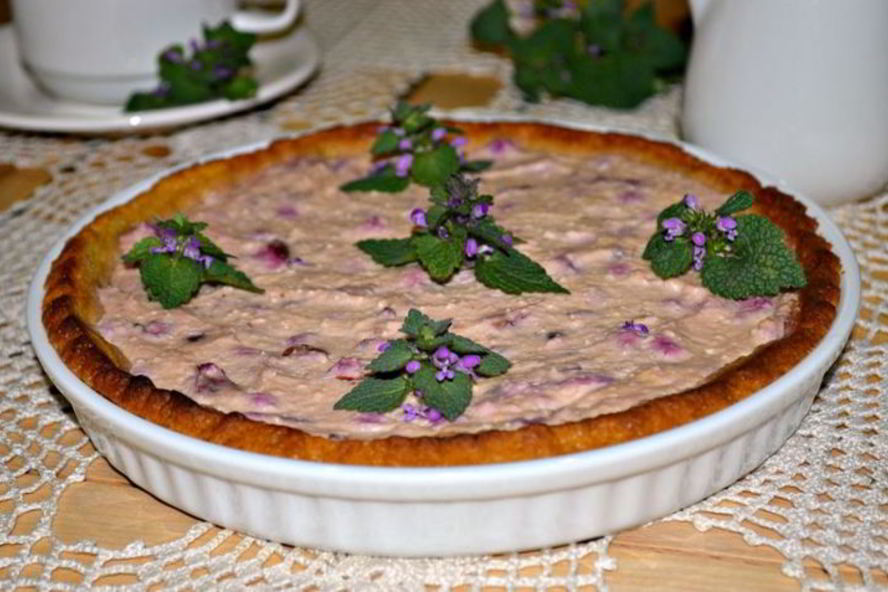 Рецепт творожно-вишневый тарт